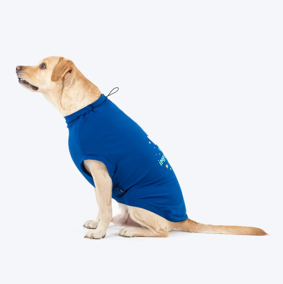 HUFT VIP T-shirts For Dog - Blue