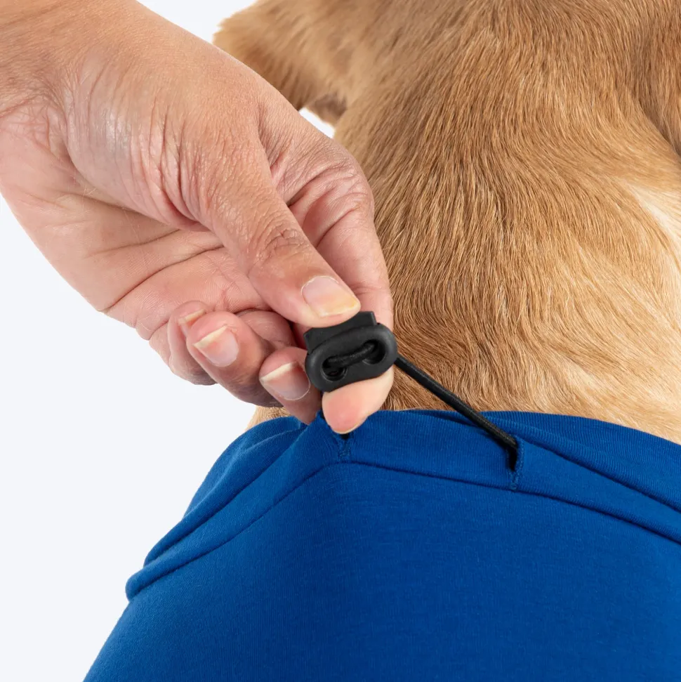 HUFT VIP T-shirts For Dog - Blue