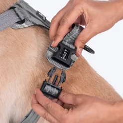 HUFT Walk Light Harness For Dog - Sterling Grey