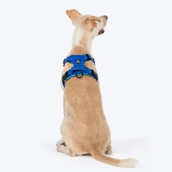 HUFT Walk Light Harness For Dog - Azure Blue