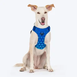HUFT Walk Light Harness For Dog - Azure Blue