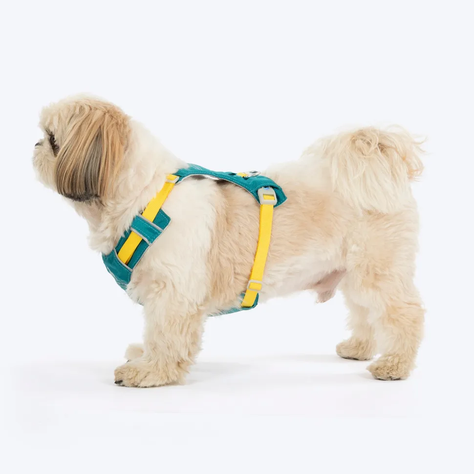 HUFT Walkmate Harness For Dog - Teal Green