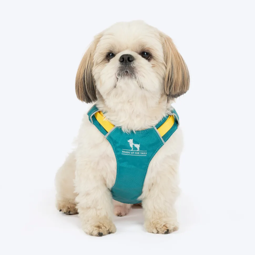 HUFT Walkmate Harness For Dog - Teal Green