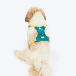 HUFT Walkmate Harness For Dog - Teal Green
