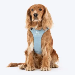 HUFT Walkmate Harness For Dog - Slate Blue