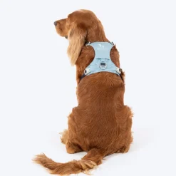 HUFT Walkmate Harness For Dog - Slate Blue