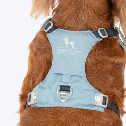HUFT Walkmate Harness For Dog - Slate Blue