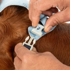 HUFT Walkmate Harness For Dog - Slate Blue