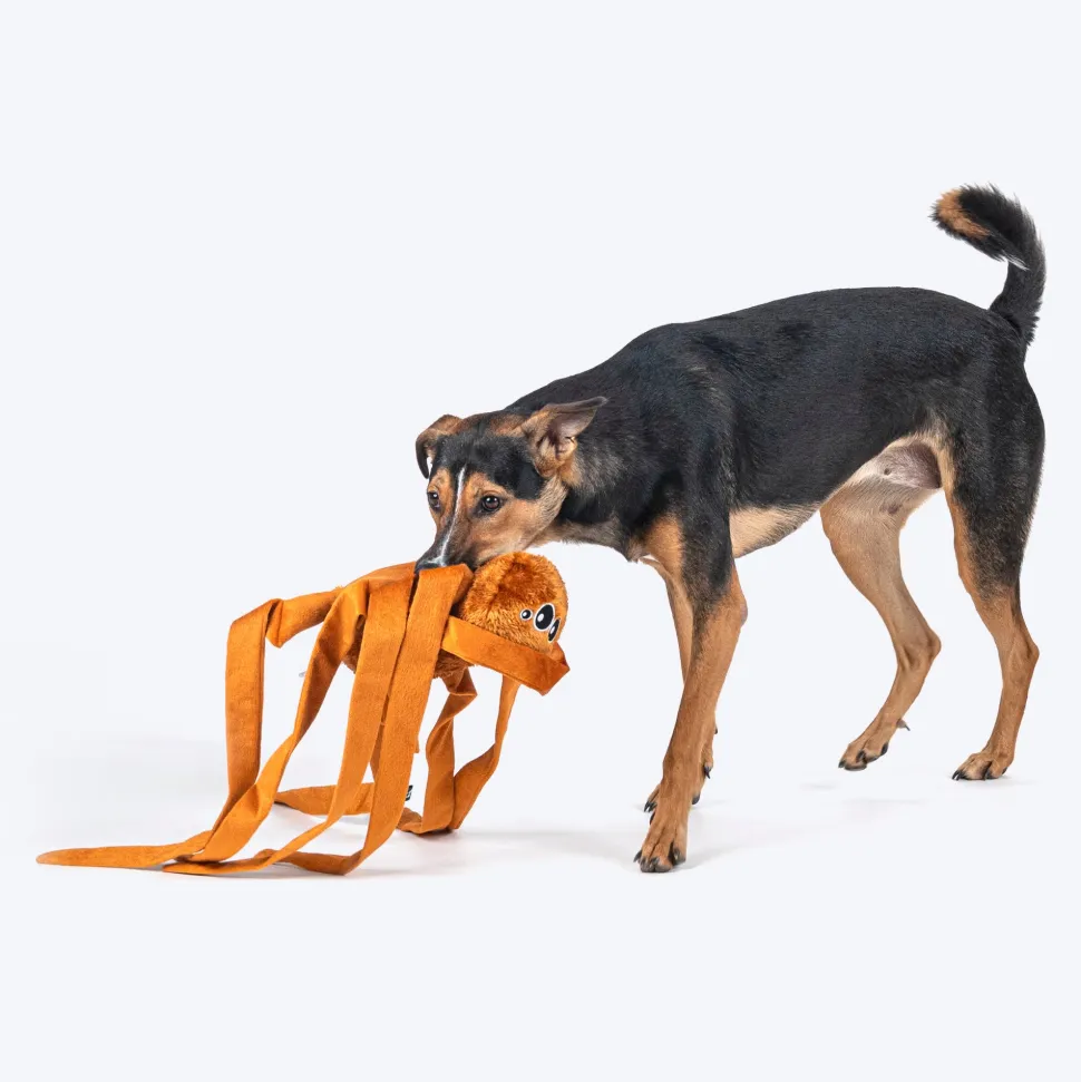 HUFT Webby Long-Legs Plush Toy For Dog - Brown