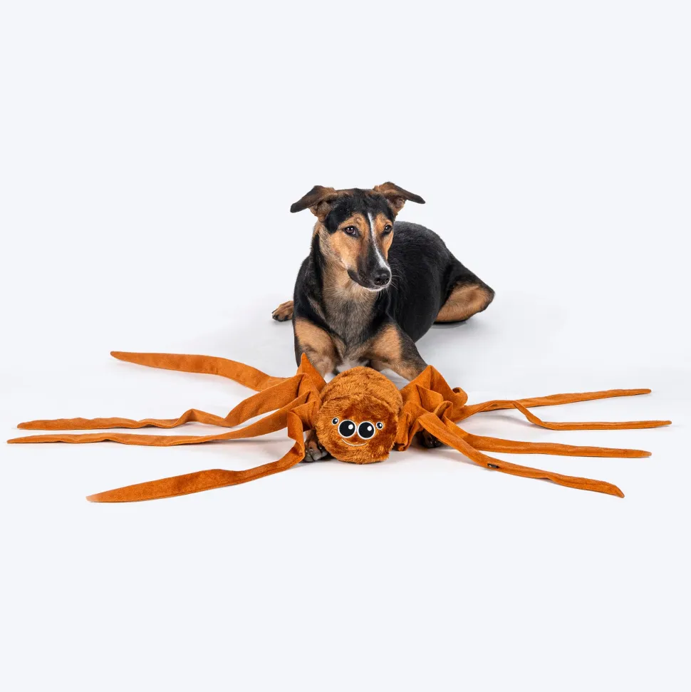HUFT Webby Long-Legs Plush Toy For Dog - Brown