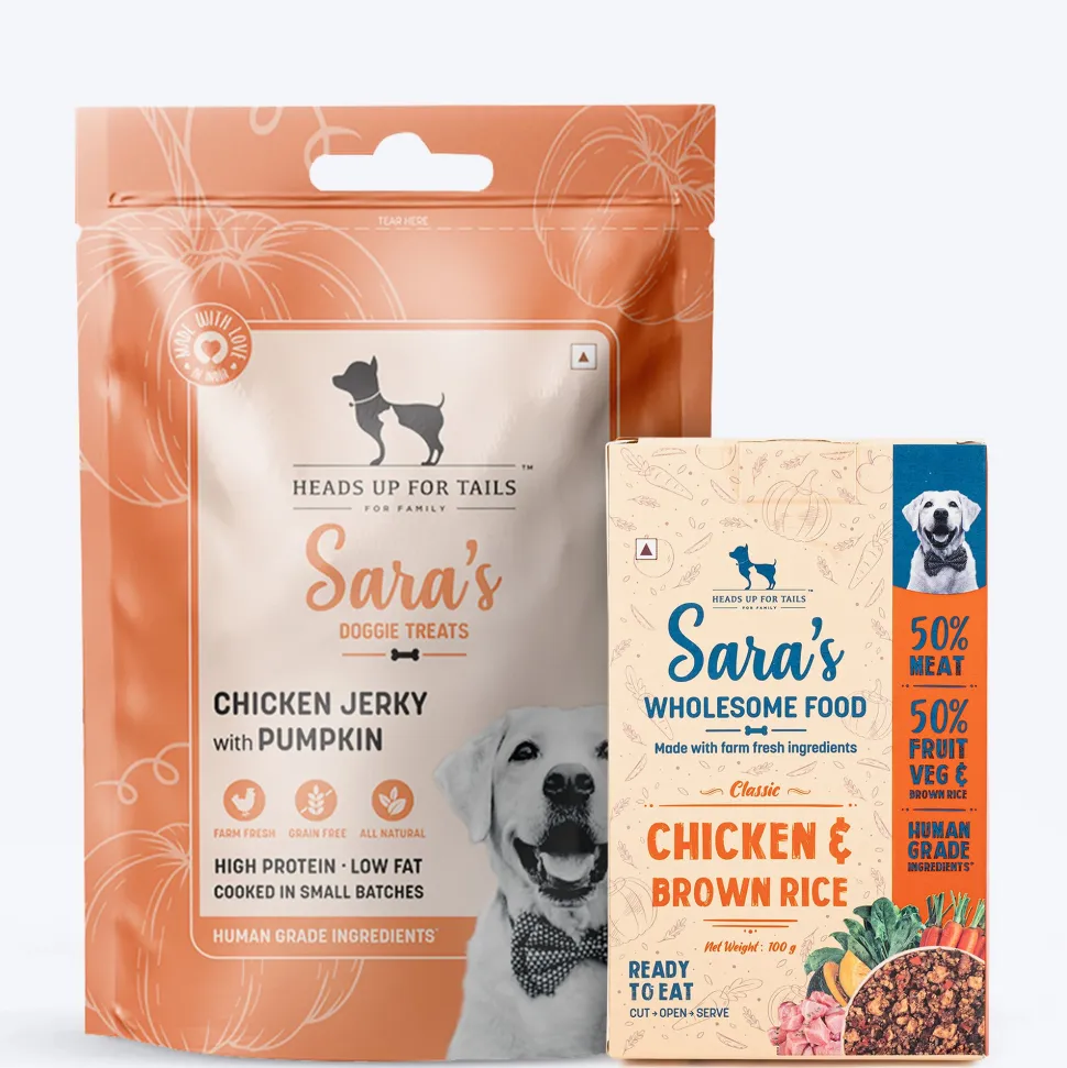 HUFT Wholesome Chicken, Brown Rice Food & Pumpkin Flavour Treats Combo For Dog