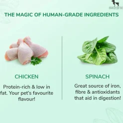 HUFT Winter Yummies Treats For Dogs - Combo