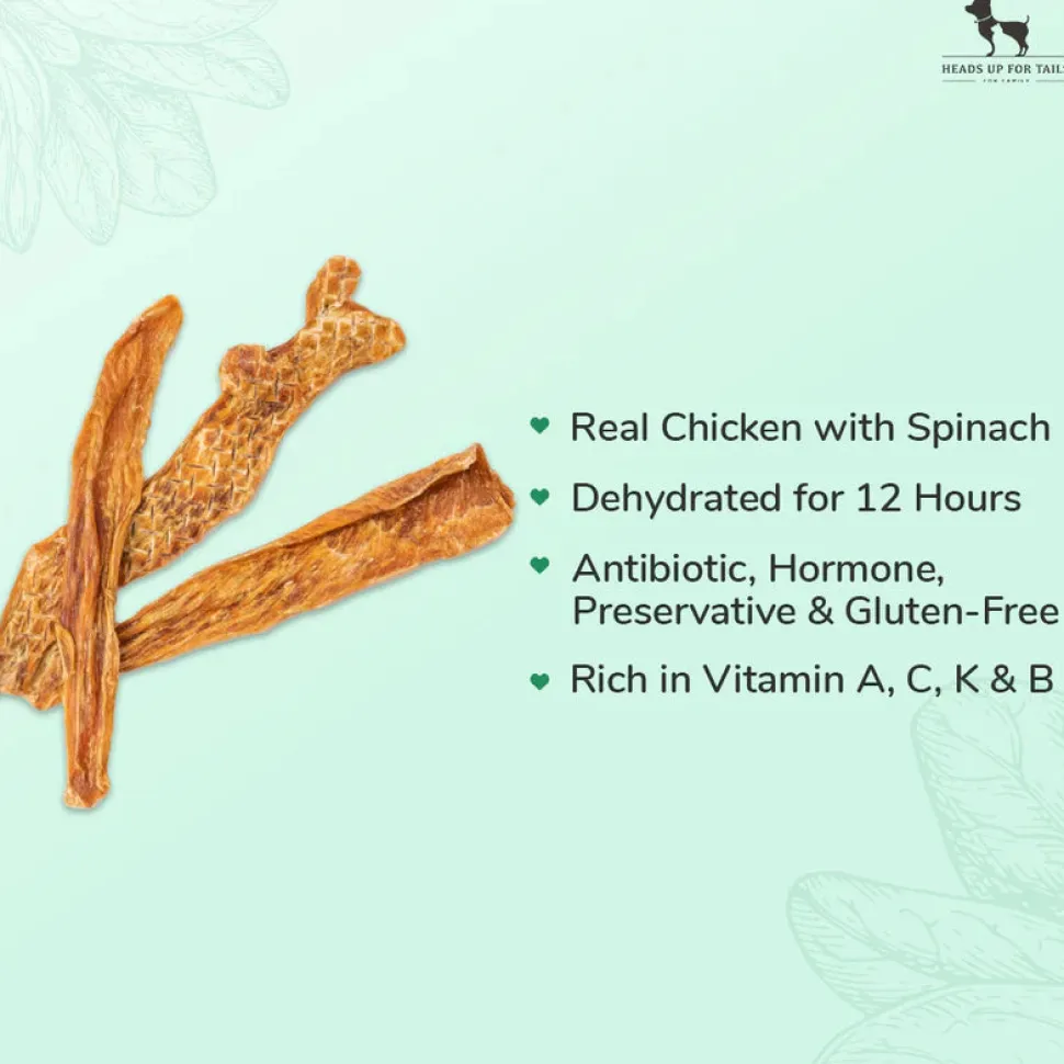 HUFT Winter Yummies Treats For Dogs - Combo