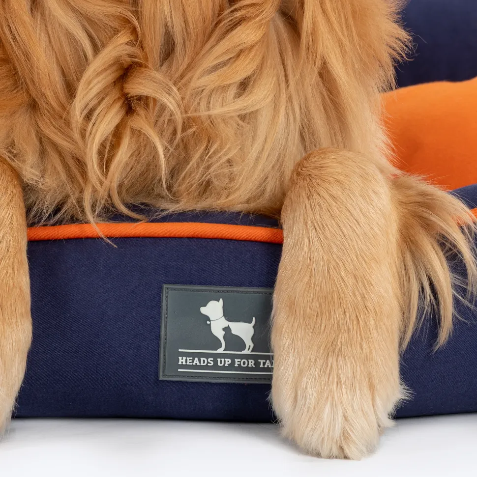 HUFT Woofie Classic Lounger Bed For Dog - Blue & Orange