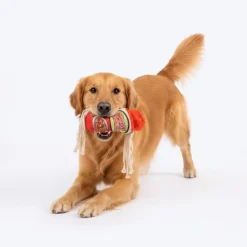 HUFT Woof Noodles Plush Toy For Dog - Multicolor