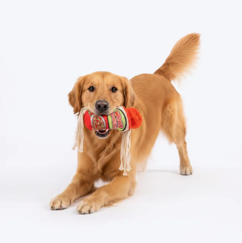 HUFT Woof Noodles Plush Toy For Dog - Multicolor