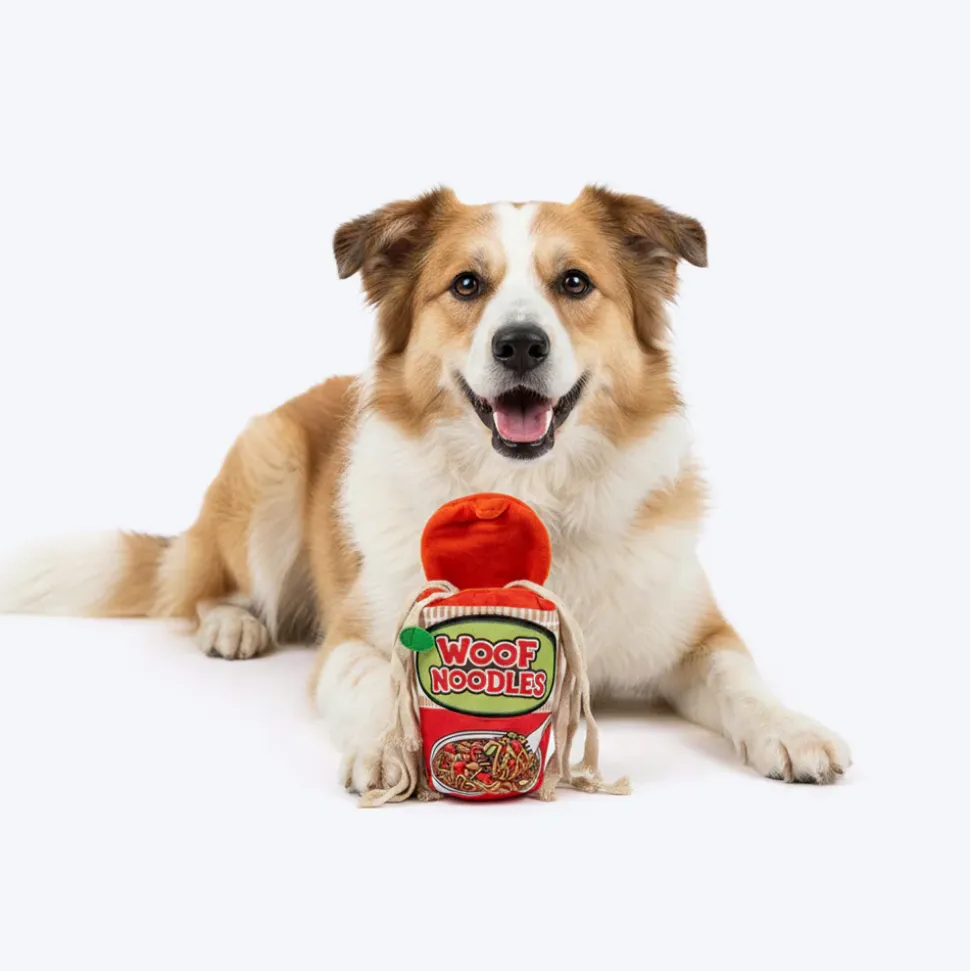 HUFT Woof Noodles Plush Toy For Dog - Multicolor