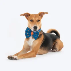 HUFT X Pinklay Hearts In Bloom Bow Tie With Strap For Dog - Blue & Orange