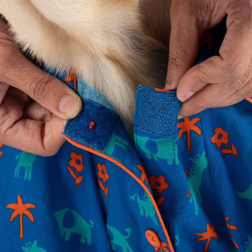 HUFT X Pinklay Jungle Joyride Shirt For Dog - Blue & Orange