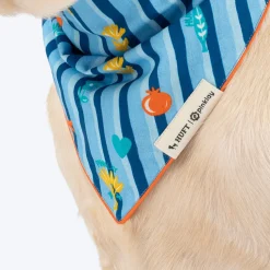 HUFT X Pinklay Strut In Stripes Knot Bandana For Dog - Blue & Orange