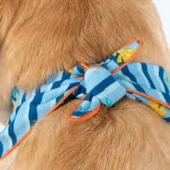 HUFT X Pinklay Strut In Stripes Knot Bandana For Dog - Blue & Orange