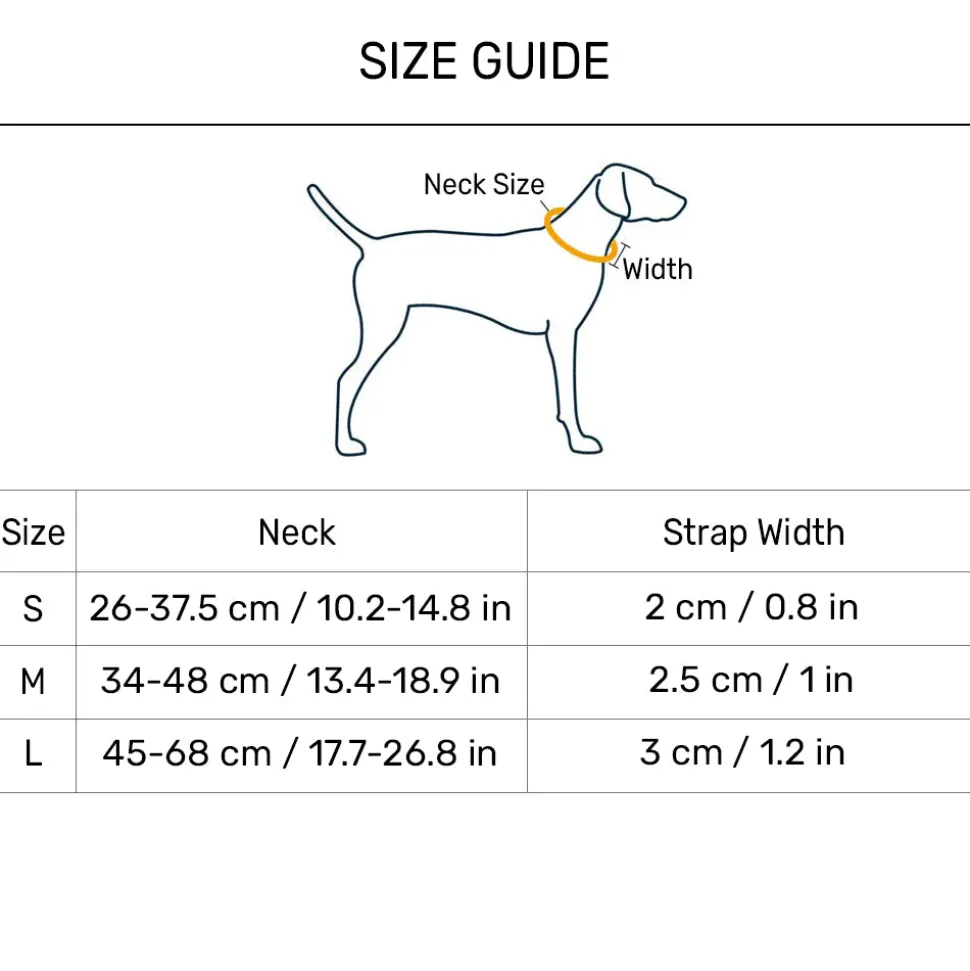 HUFT Xplorers Collar For Dog - Blue