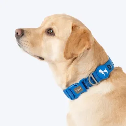 HUFT Xplorers Collar For Dog - Blue