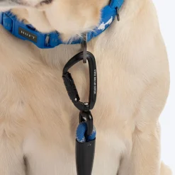 HUFT Xplorers Collar For Dog - Blue