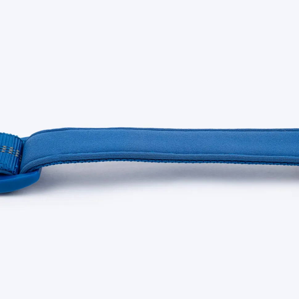 HUFT Xplorers Collar For Dog - Blue