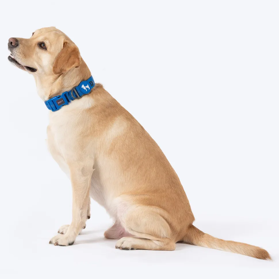 HUFT Xplorers Collar For Dog - Blue