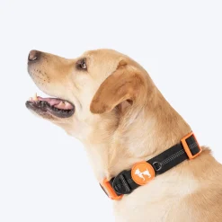 HUFT Xplorers Collar For Dog - Black