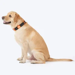 HUFT Xplorers Collar For Dog - Black