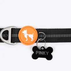 HUFT Xplorers Collar For Dog - Black