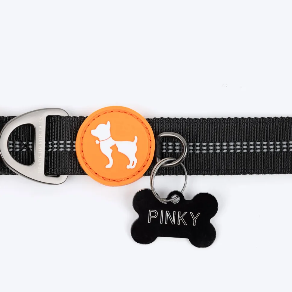 HUFT Xplorers Collar For Dog - Black