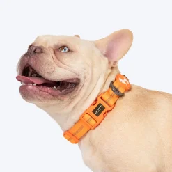 HUFT Xplorers Collar For Dog - Orange
