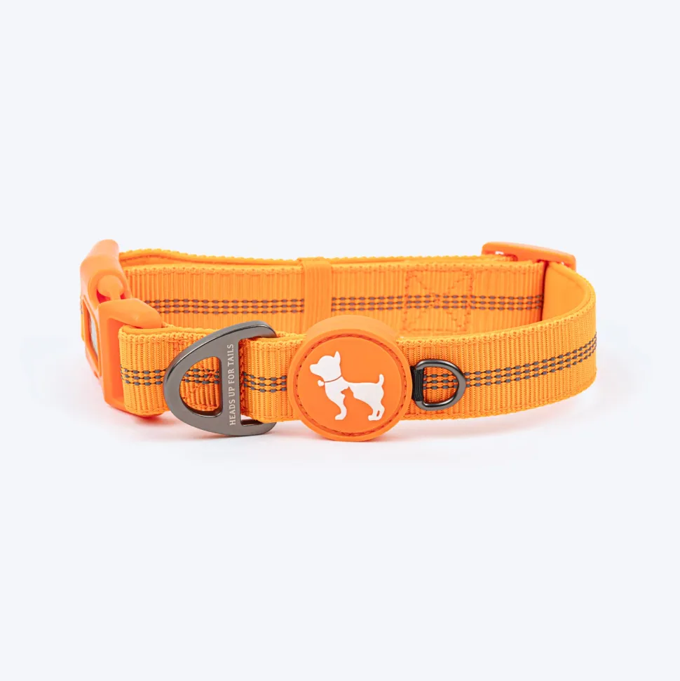 HUFT Xplorers Collar For Dog - Orange