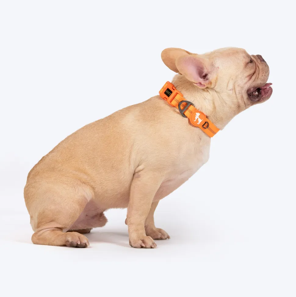 HUFT Xplorers Collar For Dog - Orange