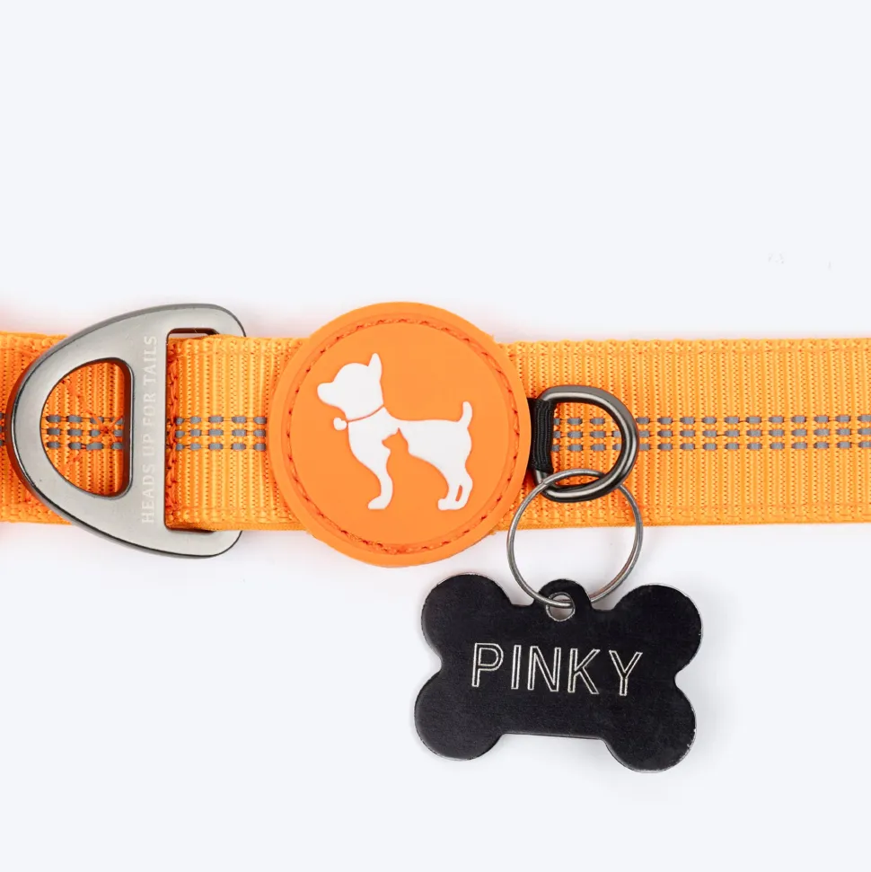 HUFT Xplorers Collar For Dog - Orange
