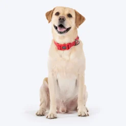 HUFT Xplorers Collar For Dog - Red