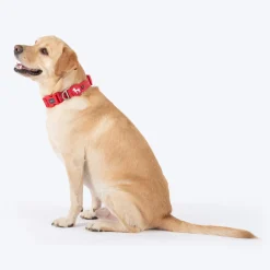 HUFT Xplorers Collar For Dog - Red