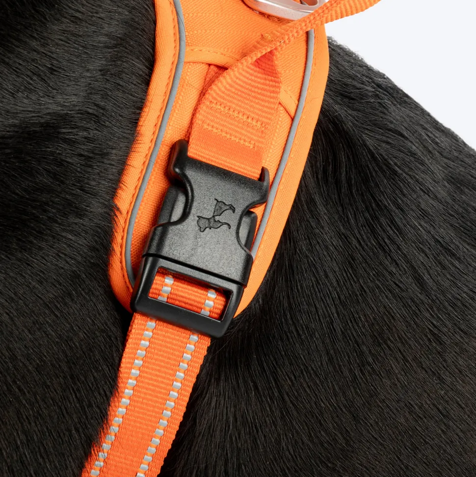 HUFT Xplorers Harness For Dog- Orange