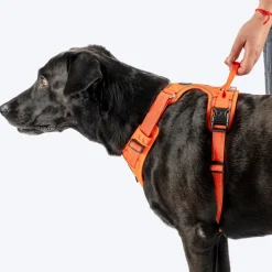 HUFT Xplorers Harness For Dog- Orange
