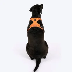 HUFT Xplorers Harness For Dog- Orange