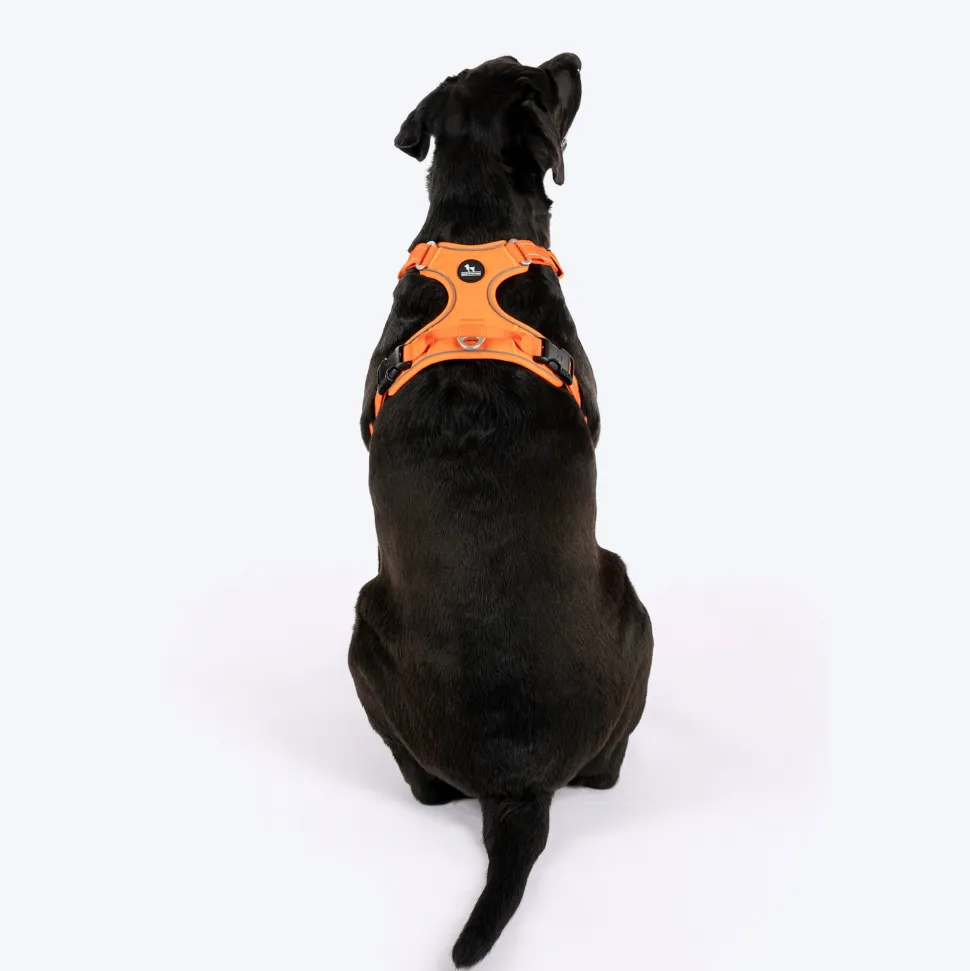 HUFT Xplorers Harness For Dog- Orange