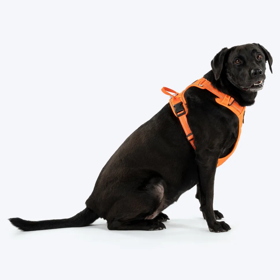 HUFT Xplorers Harness For Dog- Orange