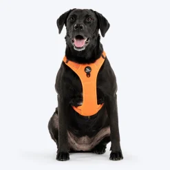 HUFT Xplorers Harness For Dog- Orange