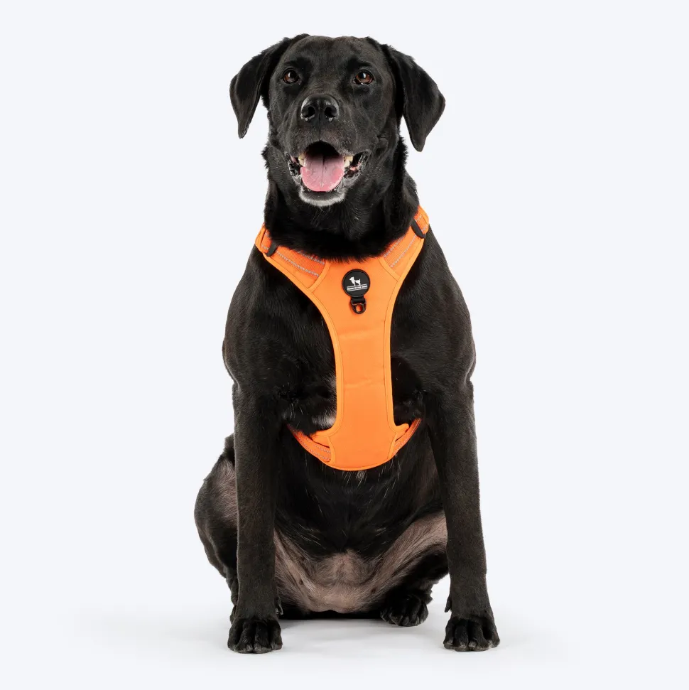 HUFT Xplorers Harness For Dog- Orange