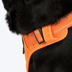 HUFT Xplorers Harness For Dog- Orange
