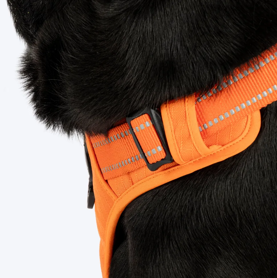 HUFT Xplorers Harness For Dog- Orange