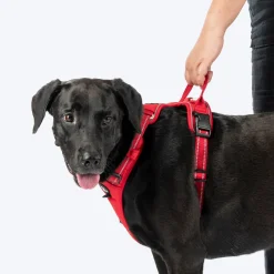 HUFT Xplorers Harness For Dog - Red